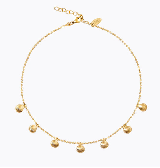 Petite Shell Choker