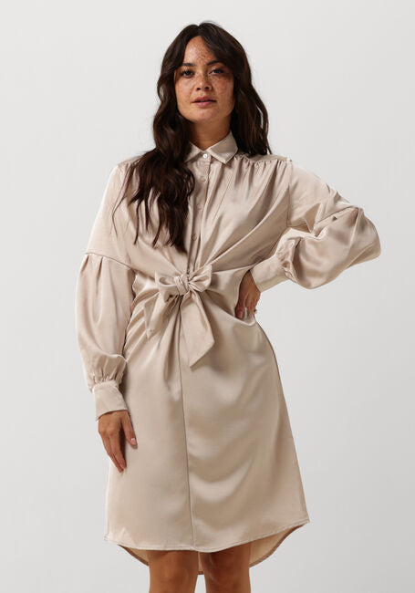 Nima Heavy Satin Dress Champagne