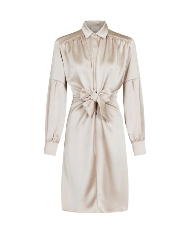 Nima Heavy Satin Dress Champagne
