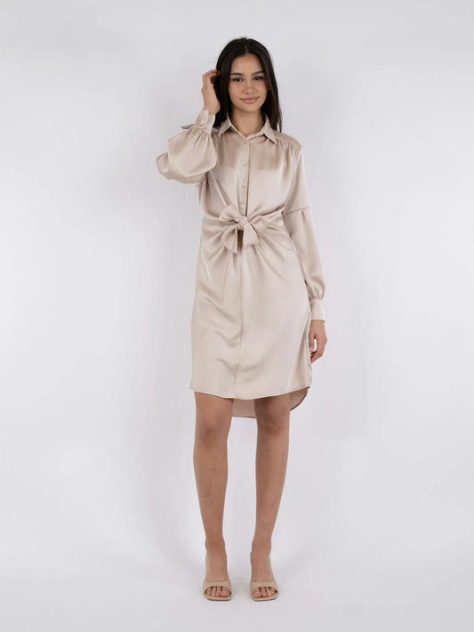 Nima Heavy Satin Dress Champagne